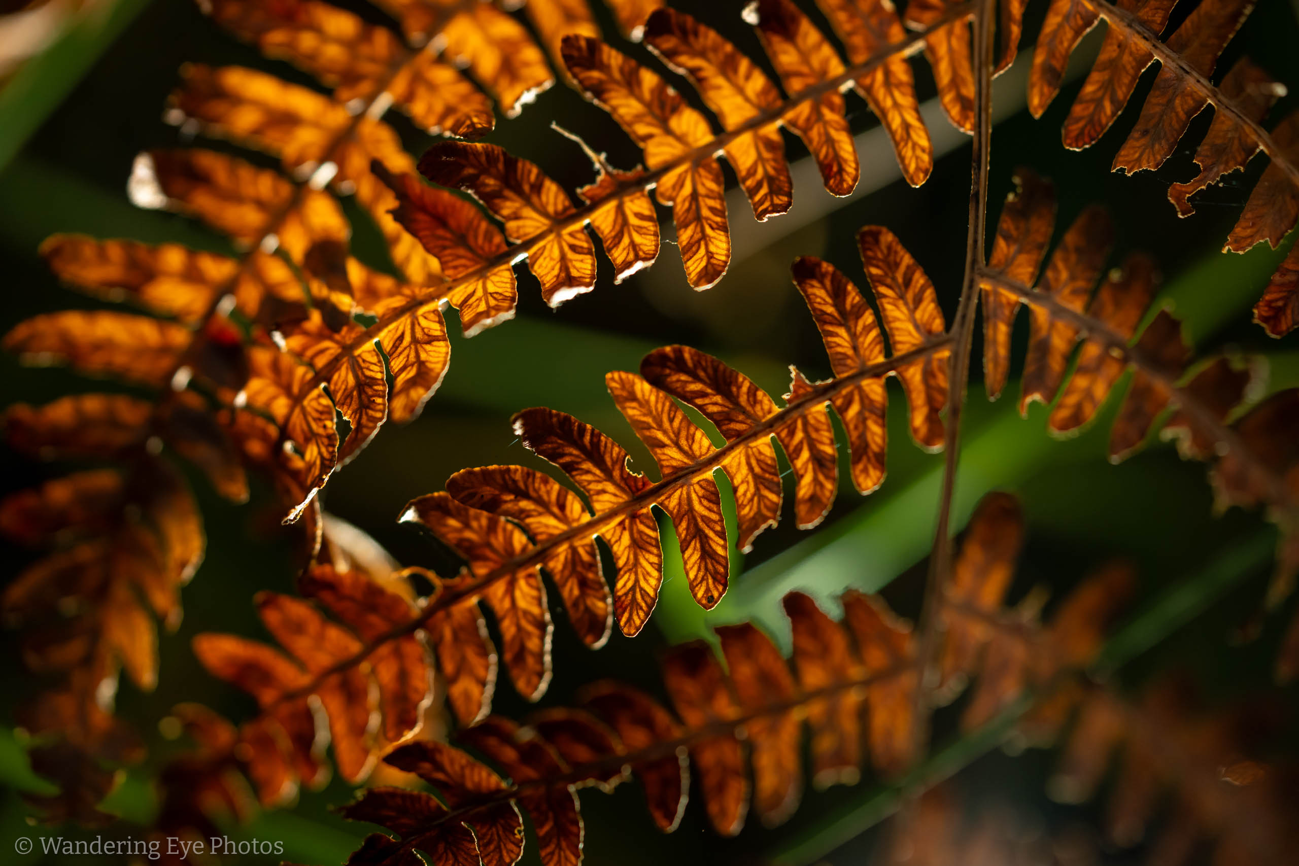 08.31 14.25.47   DSC02747